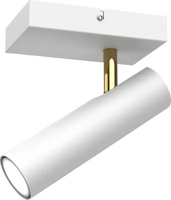 Obrázok produktu pre Pohyblivé nástenné a stropné svietidlo biele 1xGU10 8W Axion Luminex