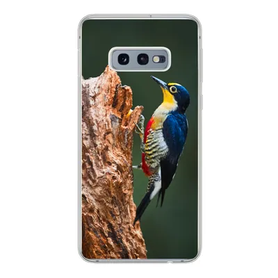 Produktbild von MuchoWow® Handyhülle Schutzhülle Hülle für Samsung Galaxy S10e Nahaufnahme eines bunten Vogels auf der Seite eines Baumstamms Silikon Softcase Handy Hülle - Handy