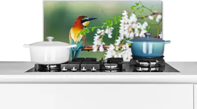 Produktbild von KitchenYeah®  Spritzschutz Küche - Küchenrückwand - Wandschutz für Herd und Spüle - Vogel - Bienenfresser - Blumen 70x30 - Alu-Dibond (Alternative zum Spritzschutz aus Glas) - Hitzebeständig - Herdspr