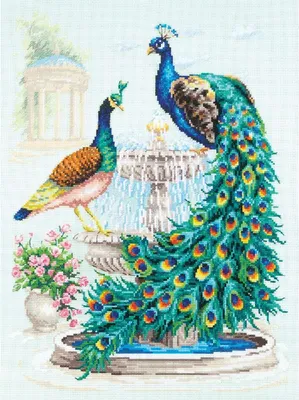 Produktbild von Magic Needle Zweigart Edition Kreuzstich Set "Pfauen", Zählmuster, 30x40cm
