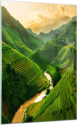 Produktbild von Bilder auf glas - Einteilig - Klappe Reis Vietnam - 70x100cm - Glasbilder - Wandbilder - Bilder - zum Aufhängen bereit - Wanddekoration aus Glas - Glas Bilder - Wandbild auf Glas - GPA70x100-4296