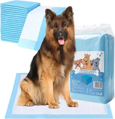 Produktbild von Welpenunterlagen 60x90 cm, Trainingspads für Hunde, 40 Stück, Auslaufsicher und Strapazierfähig mit Schnell Trocknender Oberfläche, PIPI Matten, Blau-Weiß