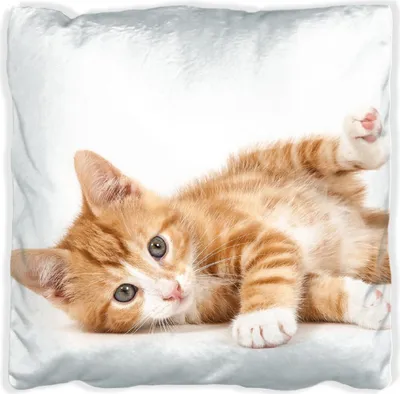 Produktbild von Wallario Premium Kissen, weiche Oberfläche, mit Motiv Süße Katze mit großen Augen - rot weiß getigert, Größe: 40 x 40 cm, mit weißer Rückseite