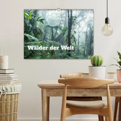Produktbild von Wälder der Welt (Wandkalender 2026 DIN A3 quer), CALVENDO Monatskalender