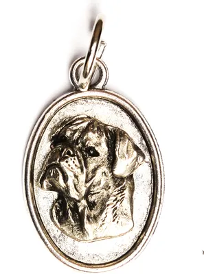 Immagine prodotto di Bullmastiff I - Collana con cane, ciondolo per mamma cane, gioiello unico del marchio Art-Dog