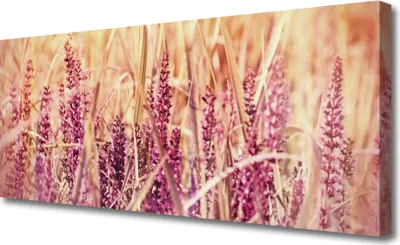 Produktbild von Tulup Leinwand-Bilder 125x50 Wandbild Canvas Kunstdruck Weizen Pflanzen