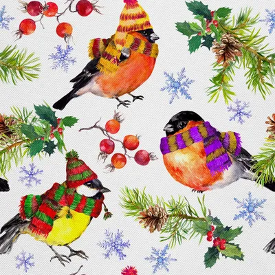 Image de OUTDOOR DECOSTOFFS OXFORD - Motif oiseaux d'hiver I DX017