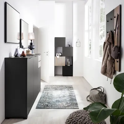 A hallway with furniture and decor, including a black cabinet, a wall-mounted coat rack, a rug, and plants.