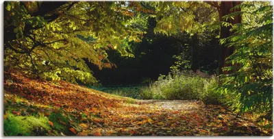 Produktbild von ARTland Leinwandbild Herbstteppich Größe: 100x50 cm