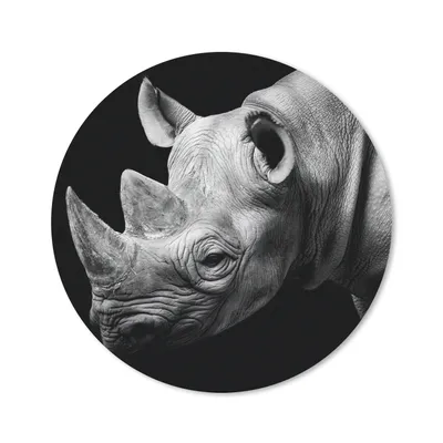 Produktbild von MuchoWow® Mauspad Mousepad Tiere - Nashorn - Schwarz - Weiß - Porträt 30x30 cm - Mousepads - Maus Mat - Pad - Mausunterlage - Tischunterlage - Schreibtischmatten