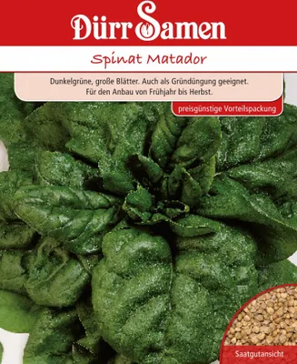 Produktbild von Spinat Matador Großpackung 250 g | Spinatsamen von Dürr Samen