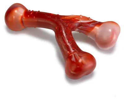 Obrázok produktu pre Arquivet Hračky pre psov – Odolná hračka pre psov Tree