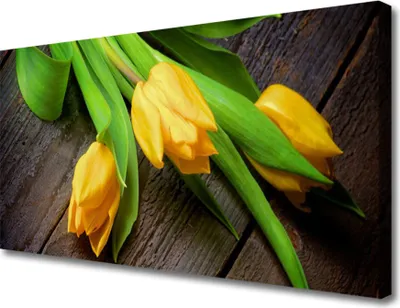 Produktbild von Tulup Leinwand-Bilder 100x50 Wandbild Canvas Kunstdruck Tulpen Pflanzen