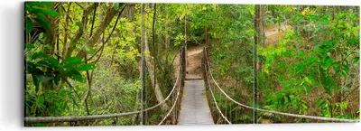 Produktbild von Bild auf Leinwand - Leinwandbild - Fußgängerbrücke Wald Abenteuer - 120x40cm - Wand Bild - Wanddeko - Leinwanddruck - Bilder - Kunstdruck - Wanddekoration - Leinwand bilder - Wandkunst - CA120x40-2678