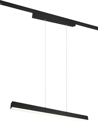 Obrázek produktu pro TRIO-Leuchten závěsné svítidlo DUOLINE WHT 90x180x5 cm černá Závěsné svítidlo