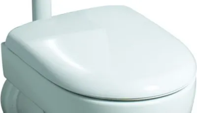 A close-up view of a white toilet seat.