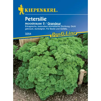 Produktbild von Kiepenkerl Profi-Line Petersiliensamen Grandeur® (Moskrul 2)