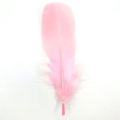 Produktbild von Federn Gänsefedern, ca. 15-20 cm, 10 Stück, Rosa hell