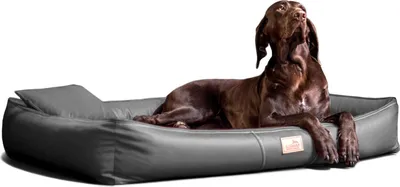 Productafbeelding van tierlando® Orthopedisch hondenbed CLIFFORD, latexmatras, kunstleer - Afmetingen: 85x60 cm | Kleur: 02 Grafiet