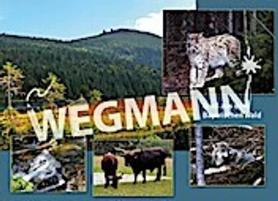 Produktbild von Postkarte und Ansichtskarte Bayerischer Wald Nr. 25 - 50er Set
