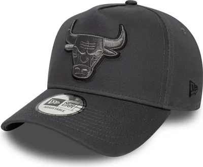 Image de Casquette NBA Chicago Bulls New Era Outline E-Frame 9FORTY Gris