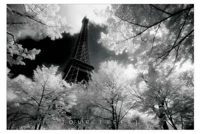 Immagine prodotto di Torre Eiffel - David NOTON - 61x91,5 cm - Poster