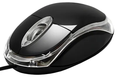 Image de Souris optique filaire - 800 DPI - 3 boutons - Noir