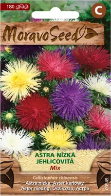 Zdjęcie produktu dla Chiński aster niskoigłowy, mieszanka 00549