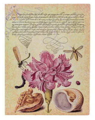 Produktbild von Softcover Notizbuch Rosa Nelke Ultra Unliniert