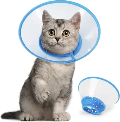 Immagine prodotto di Collare regolabile per cuccioli e gatti Blue-S