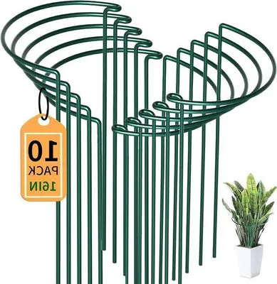 Zdjęcie produktu dla Podpora do roślin, półokrągła (25 x 40 cm) – zestaw 10 sztuk