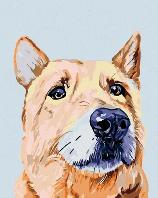 Produktbild von Zuty - Malen nach Zahlen - TRAURIGER HUND, 40x50 cm, mit Keilrahmen (bereits gespannt)