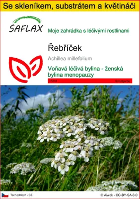 Obrázek produktu pro SAFLAX Kultivační sada - řebříček - Achillea millefolium - 200 Semena - S mini skleníkem, pěstebním substrátem a 2 květináči