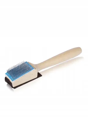Image de Brosse pour chaussures de danse