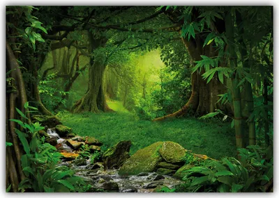 Produktbild von XXL Poster 100 x 70cm (F245) wilder grüner tropischer  Dschungel mit Fluss und Urwaldriesen (Lieferung gerollt!)