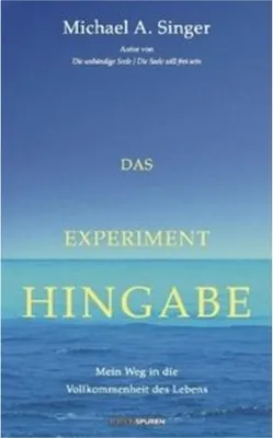 Produktbild von Das Experiment Hingabe