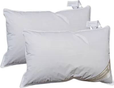 Produktbild von 2 Stück Betten Hofmann Pusta Kopfkissen Kuschelkissen Kissen 40x60  30% Daunen