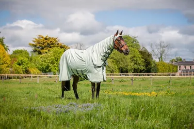Productafbeelding van Paardendeken - Vliegendeken - Insecten Beschermen - 1000D Dicht Geweven - 115-165 cm - Groen Beige