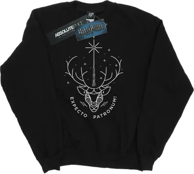 Produktbild von Harry Potter - "Expecto Patronum" Sweatshirt für Herren BI27098 (S) (Schwarz)
