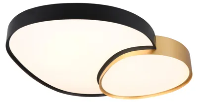 Produktbild von Trio - Deckenleuchte RISE - Schwarz - 0x0x11.5 cm