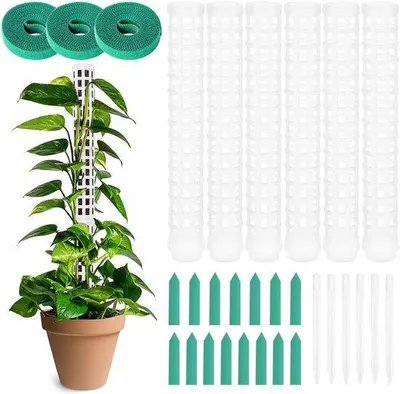 Produktbild von Famanu Pflanzenstützen Set mit 6 Moosstäben, 15 Etiketten und 3 Rollen - 150 cm