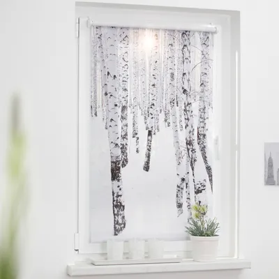 Obrázek produktu pro Roleta propouštějící denní světlo 100x150cm březový les