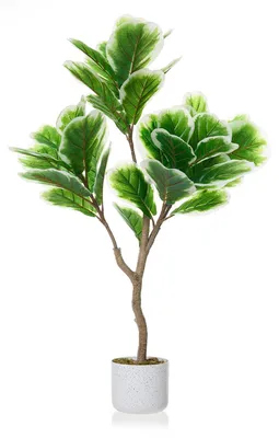 Productafbeelding van Kunstplant, 100 cm, kunstplant vioolvarent