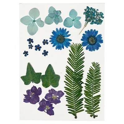 Produktbild von Creativ Company Trockenblumen und Blätter blau Bastelset 19 Stück