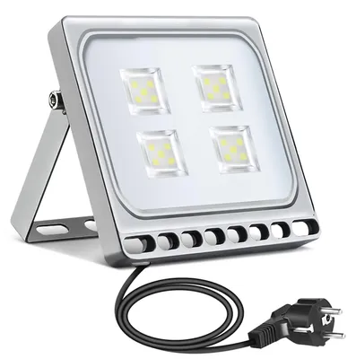 LED-Schweinwerfer 20 W, IP65, kaltweiß, 6000 K, mit Stecker, Außenleuchte