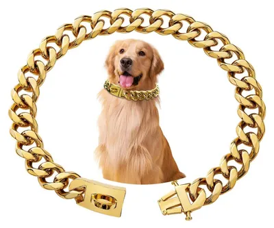 Immagine prodotto di Collare per cani, catena in acciaio inossidabile, larghezza 15 mm, lunghezza 25 cm, stile cubano dorato