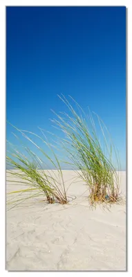 Produktbild von Wallario selbstklebende Türtapete 93 x 205 cm mit Schutzlaminat - Sandstrand unter blauem Himmel
