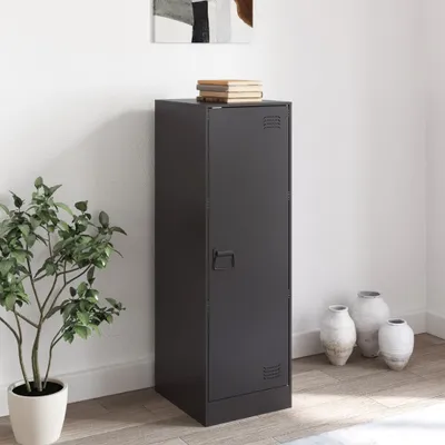 A black metal locker-style cabinet stands against a white wall, with a potted plant to the left and decorative vases to the right.
