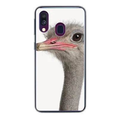 Produktbild von MuchoWow® Handyhülle Schutzhülle Hülle für Samsung Galaxy A40 Strauß - Tiere - Kinder - Jungen - Mädchen - Vogel Silikon Softcase Handy Hülle - Handy-Tasche