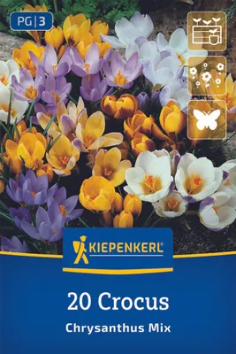 Produktbild von Kiepenkerl Botanische Krokus-Mischung Crocus chrysanthus 20 Zwiebeln